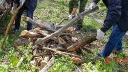 Георгиевский округ подключился ко Всероссийскому субботнику