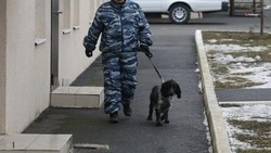 Осуждённому на Ставрополье под видом сладостей пытались передать наркотики