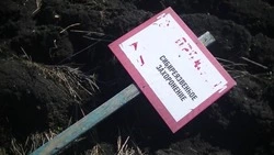 Ситуацию со вспаханным скотомогильником прокомментировали в администрации Георгиевского округа