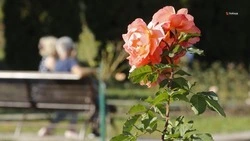 На Ставрополье реализовали более 70 проектов благоустройства за счёт курсбора 