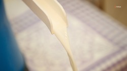 Свыше полумиллиона тонн молока произвели на Ставрополье в 2023 году
