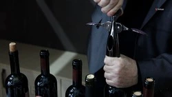 Алкоголь ослабляет защитные силы организма — минздрав Ставрополья