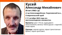 Мужчину в чёрной куртке ищут в Георгиевском округе