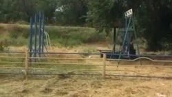 В ответ на обращения жителей сорную траву скосили в посёлке Георгиевского округа