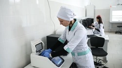 СКФУ планирует расширить список исследуемых пород овец