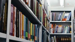 Психолог из Ставрополя оспорила тезис о прославлении лени в русских сказках