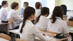 В Георгиевском округе реализуют 21 инициативу школьников