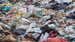 Около 1,5 тыс. незаконных свалок ликвидировали в Ставропольском крае