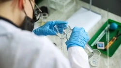 Учёные СКФУ разрабатывают новую форму селена 