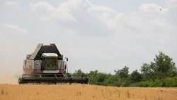 Аграрии Ставрополья убрали почти 7 тонн зерна