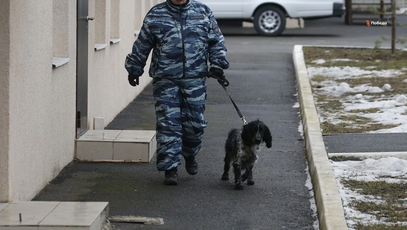 Осуждённому на Ставрополье под видом сладостей пытались передать наркотики