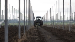 250 га садов заложат на Ставрополье в 2026 году