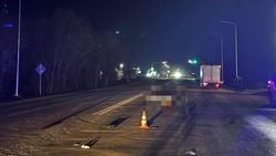Пешеход погиб под колёсами авто в Георгиевском округе 
