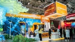 Глава Георгиевского округа посетил выставку на ВДНХ