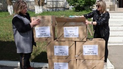 Библиотекари Георгиевского округа направили посылки раненым бойцам СВО