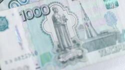 Житель Георгиевского округа заплатит 3 тыс. рублей за торговлю рыбой у проезжей части